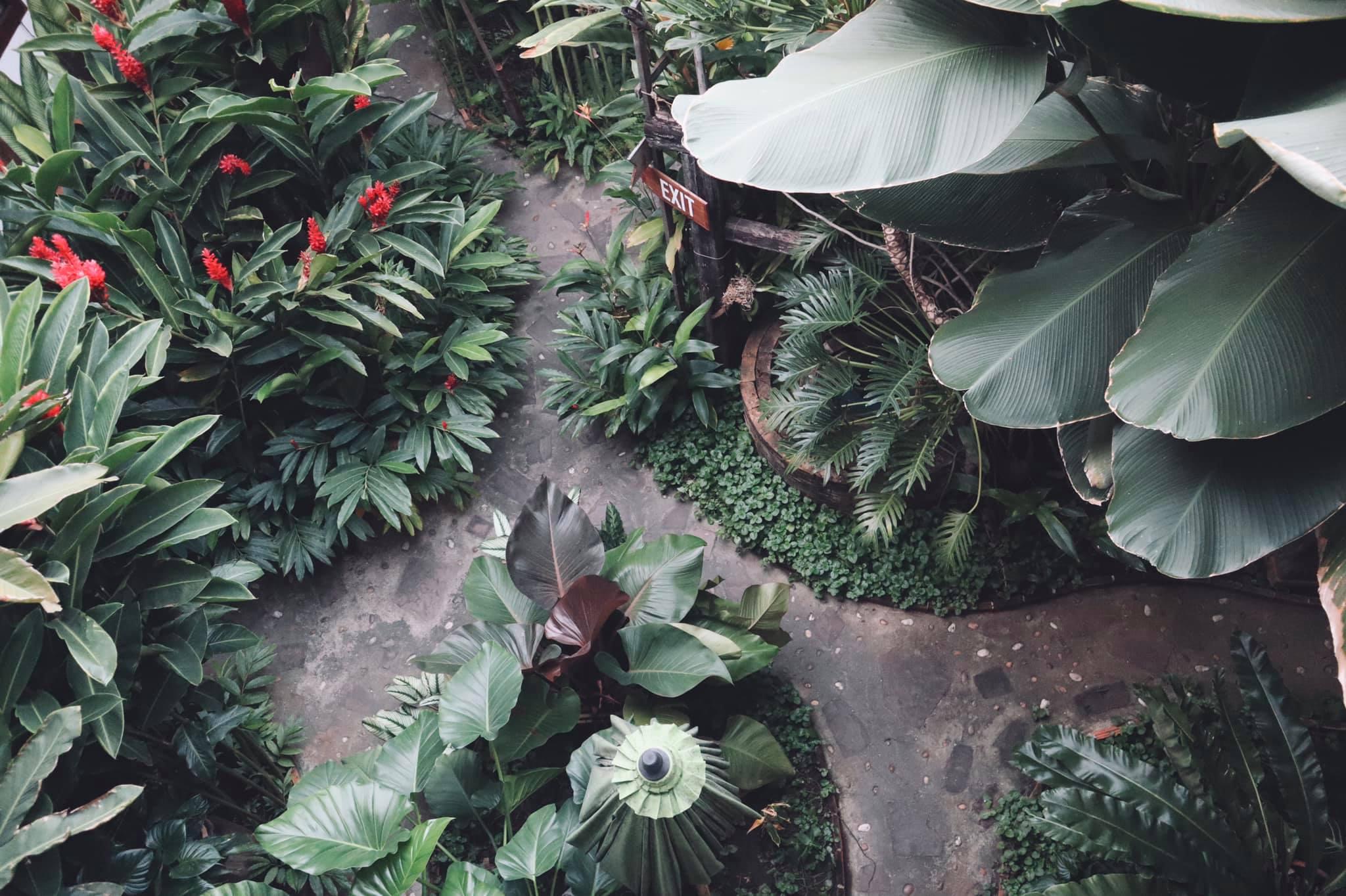 Shewe Wana Suite Resort Chiang Mai Dış mekan fotoğraf